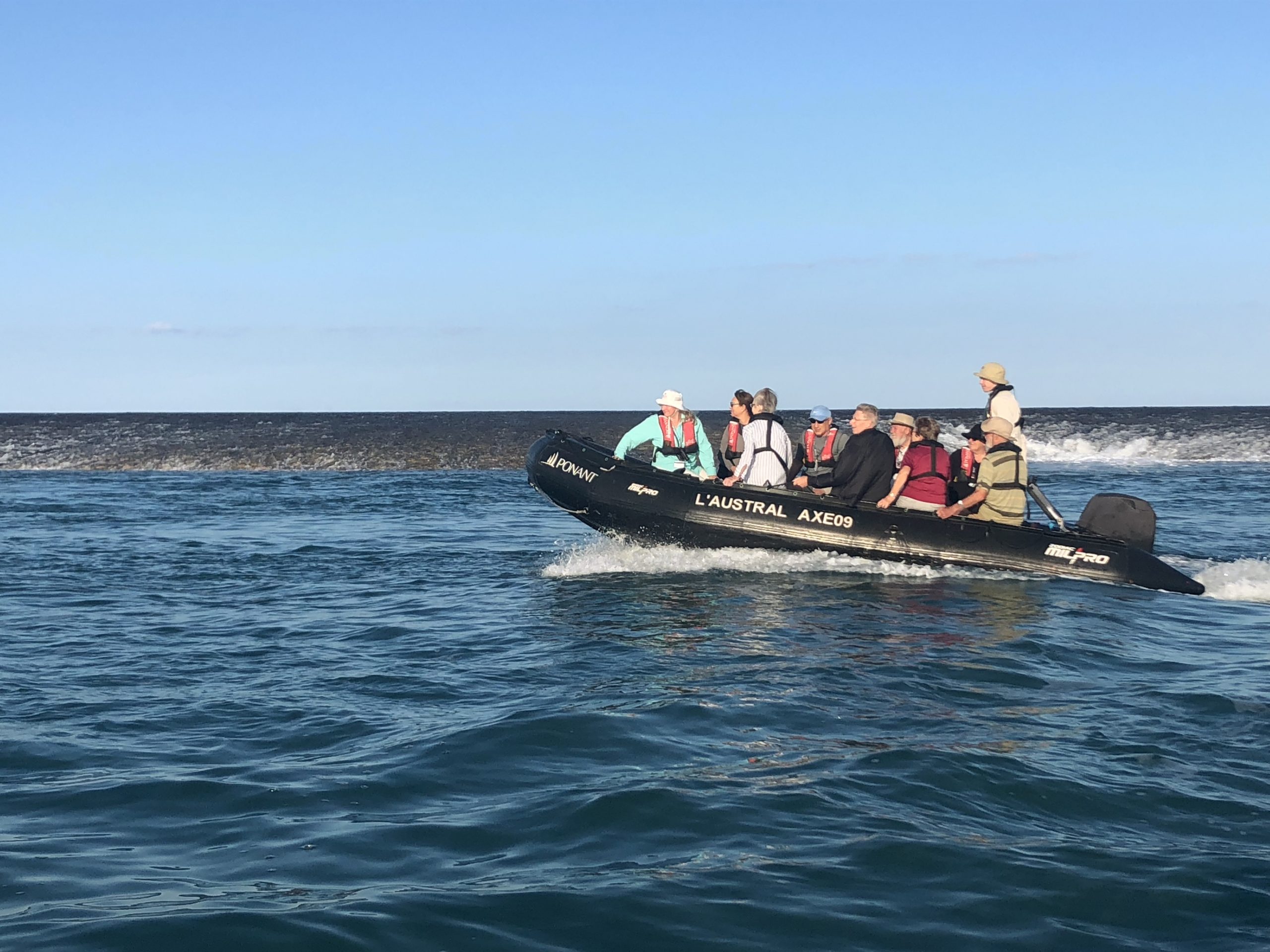 montgomery reef boat tours