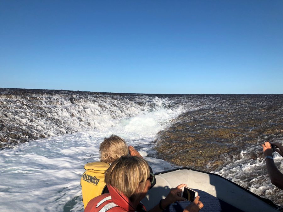 montgomery reef boat tours